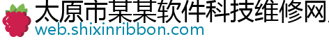 太原市某某软件科技维修网点